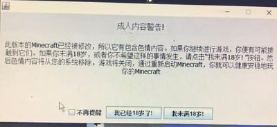 这是一张电脑屏幕截图，展示了一个模仿《我的世界》（Minecraft）启动警告界面的恶搞弹窗。弹窗标题为“成人内容警告！”，正文声称此版本的Minecraft已被修改，包含色情内容，告知未满18岁或不愿接触此类内容的用户点击“我未满18岁！”按钮，声称点击后会移除色情内容并关闭游戏，重启即可正常游玩。界面下方有“不再提醒”勾选框，以及“我已经18岁了！”“我未满18岁！”两个操作按钮。该弹窗为网友自制的整活内容，并无实际的成人内容，属于对游戏启动界面的恶搞，用来制造搞笑效果。