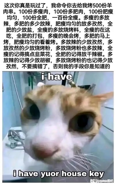 这是一张搞笑二次创作表情包，整体分为上下两部分：上方是一段冗长且要求极其繁琐、细节矛盾的烤串指令，以强硬威胁的语气命令对方烤制500份分五类不同肥瘦比例的羊肉串，每类都有专属的调料搭配、烤制时间、食用/打包方式等要求，规则复杂到极易混淆；下方是一张猫咪近距离特写照片，猫咪双眼圆睁，眼神充满震惊与慌张，神态极具冲击力，配文带有拼写错误的英文“i have
i have yuor house key”（正确拼写应为your），用“持有对方家门钥匙”的方式形成反向威胁，和上方的强硬指令形成荒诞反差，精准吐槽了生活中被离谱、复杂的不合理要求支配时的无奈，同时用反向破局的方式制造搞笑效果。