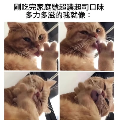 图片上方配有文字“刚吃完家庭号超浓起司口味多力多滋的我就像：”，下方是2x2网格排列的四张橘猫照片。四张照片连贯展示了一只橘猫舔舐爪子的过程，表情从专注舔爪逐渐变为闭眼陶醉，生动表现出吃完浓郁起司味零食后的极度满足感。