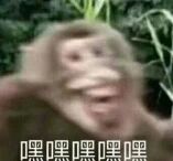 图片中是一只真实的猴子，它张大嘴巴，露出牙齿，表情看起来像是在开怀大笑。图片底部叠加了“嘿嘿嘿嘿嘿”的文字，整体营造出一种轻松搞笑的氛围，常被用作表达开心或调侃的表情包。