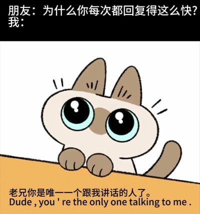 这是一张自嘲风格的梗图，上方是朋友的提问：“为什么你每次都回复得这么快？”，下方用一张睁着大圆眼睛、可怜巴巴趴在平台边缘的卡通暹罗猫图，配上文字“老兄你是唯一一个跟我讲话的人了。”，以心酸又搞笑的方式，解释自己秒回的原因——因为社交圈狭窄，对方是唯一愿意和自己交流的人，戳中了孤独、缺乏社交的人的心境。图中还附带了英文翻译“Dude , you ' re the only one talking to me .”。