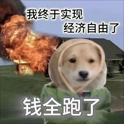 图片中是一只戴着头套、穿着绿色外套的Doge狗，表情平静地站在画面中央。背景是一栋房子和巨大的爆炸场景，火焰冲天。图片上方有文字“我终于实现经济自由了”，下方有文字“钱全跑了”，通过爆炸的视觉效果和文字内容形成幽默反差，表达了一种“实现经济自由但钱却没了”的搞笑矛盾情境。
