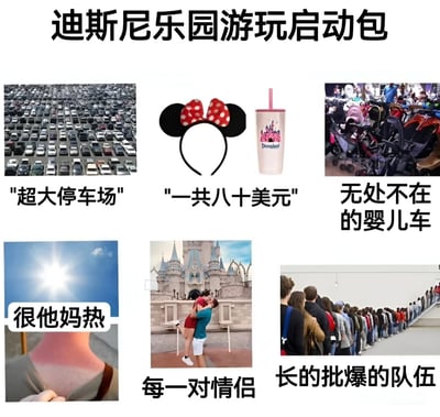 这是一张名为“迪士尼乐园游玩启动包”的多图拼接梗图，通过六张图片幽默呈现迪士尼乐园的典型场景与体验。包含：密密麻麻的“超大停车场”、标价“一共八十美元”的米妮发箍和迪士尼水杯、“无处不在的婴儿车”堆、烈日下的“很他妈热”、城堡前拥吻的“每一对情侣”，以及“长的批爆的队伍”。整体以调侃语气总结游玩时可能遇到的拥挤、消费高、天气热等真实情况，充满生活气息与吐槽意味。