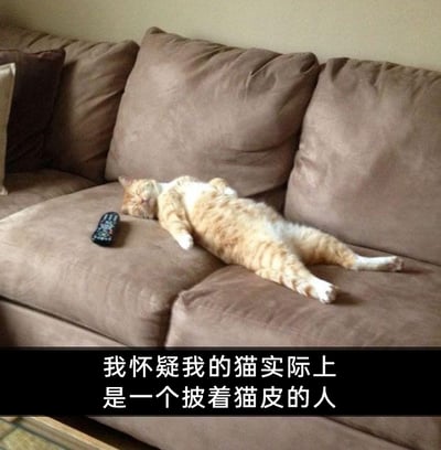 这是一张静态的宠物摄影图，画面主体是一只橘白相间的猫咪，它以完全拟人化的仰躺姿势睡在棕色的布艺沙发上，四肢自然伸展，头部靠在沙发坐垫上，双眼紧闭，神态十分放松安详，旁边还放置着一个黑色的电视遥控器，进一步强化了场景的生活化。图片底部配有白色文字：“我怀疑我的猫实际上是一个披着猫皮的人”，用幽默戏谑的语气调侃猫咪的姿势和神态与人类放松时的状态高度相似，让这张日常宠物照片充满了诙谐有趣的氛围，容易引发养宠人士的共鸣。