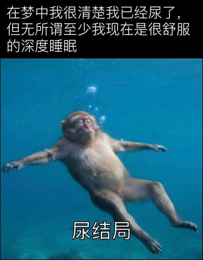 这是一张搞笑梗图，采用顶部配文+主图+底部配文的结构：顶部黑色背景上的白色文字调侃人在梦中意识到自己尿床，但贪图当下深度睡眠的舒适不想起来处理的摆烂心态；主图是一只猴子在蓝色的水中仰面漂浮，四肢舒展、双眼紧闭，神态十分放松，头部上方还有上浮的气泡，完美契合文字描述的躺平状态；底部配文“尿结局”点明后续要面对尿床的糟糕结果，整体用夸张戏谑的方式表达明知做了错事仍想先享受当下、逃避后续麻烦的普遍心理，非常有共鸣感。