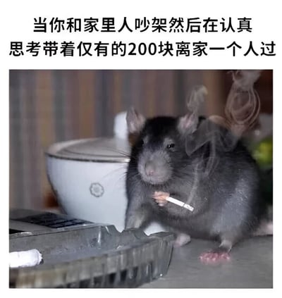 图片上方配有文字‘当你和家里人吵架然后在认真思考带着仅有的200块离家一个人过’，下方是一只黑色老鼠站在桌子上，前爪夹着一根点燃的香烟，烟雾袅袅升起，老鼠表情看起来若有所思。整体通过老鼠模仿人类‘成熟思考’的吸烟姿态，与文字描述的家庭吵架后冲动想离家出走的场景形成幽默对比，展现了年轻人与家人发生矛盾后的夸张内心戏，带有自嘲和搞笑的意味。