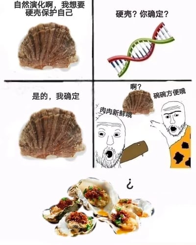 暂无描述