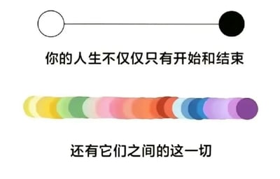 图片分为上下两部分。上方是一个白色圆圈和一个黑色圆圈通过一条直线连接，下方配有文字“你的人生不仅仅只有开始和结束”；下方则是一排由黄色、绿色、粉色、橙色、红色、蓝色、紫色等多种颜色组成的连续圆圈，下方对应文字“还有它们之间的这一切”。整体通过简洁的图形和文字对比，传达出人生的价值不仅在于起点和终点，更在于中间丰富多彩的过程。