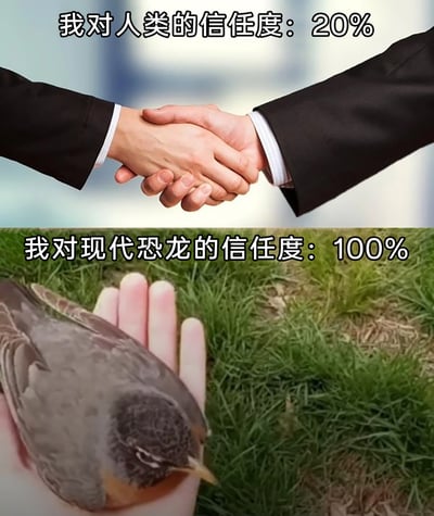 这是一张上下拼接的对比式梗图，上半部分呈现两只穿着商务西装的手在握手，搭配文字“我对人类的信任度：20%”，暗喻人类在社交、合作场景中可能存在的猜忌与不信任，体现出创作者对人类的信任度较低；下半部分展示一只鸟类安静地停在人类的手掌上，配文“我对现代恐龙的信任度：100%”，这里的“现代恐龙”是趣味化的科学表述——因为鸟类是恐龙的后代，表达出创作者比起人类，更信任单纯温顺的动物，传递出对复杂人类社交的疲惫和对动物的喜爱与信赖。
