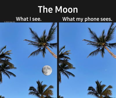 这是一张左右分栏的对比梗图，左侧标注文字“What I see.（我看到的）”，呈现出蓝天椰树背景下，一枚清晰硕大的月亮，符合人眼实际感知的视觉效果；右侧标注“What my phone sees.（我的手机看到的）”，在完全相同的椰树蓝天背景里，月亮缩小成了一个几乎难以察觉的小白点。这张图精准吐槽了手机相机在拍摄月亮时，无法还原人眼所感知到的月亮大小与清晰度的痛点，戳中了很多人日常用手机拍摄天体的无奈经历，十分搞笑。