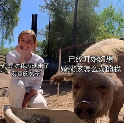 图片中一位身穿白色衣服的女孩蹲在户外，面带微笑，手托下巴，姿态友善。她身旁有一头体型较大的猪，表情平静。左侧文字标注“只是对我表现出了友善的女孩”，右侧文字为“已经开始幻想婚礼该怎么办的我”，通过强烈的文字对比制造幽默效果，展现了因他人微小友善行为而过度脑补恋爱后续的搞笑场景，充满自嘲与轻松氛围。背景是晴朗蓝天和绿树，环境自然清新。