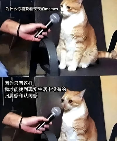这是一张上下两格的对比图，上格中一只橘白相间的猫坐在椅子上，面对一个手持麦克风的人，配文"为什么你喜欢看丧丧的memes"。下格中同一只猫表情略微变化，配文"因为只有这样 我才能找到现实生活中没有的 归属感和认同感"。图片通过拟人化的猫咪采访，幽默地表达了现代人通过观看悲伤或忧郁内容来获得情感共鸣的现象。