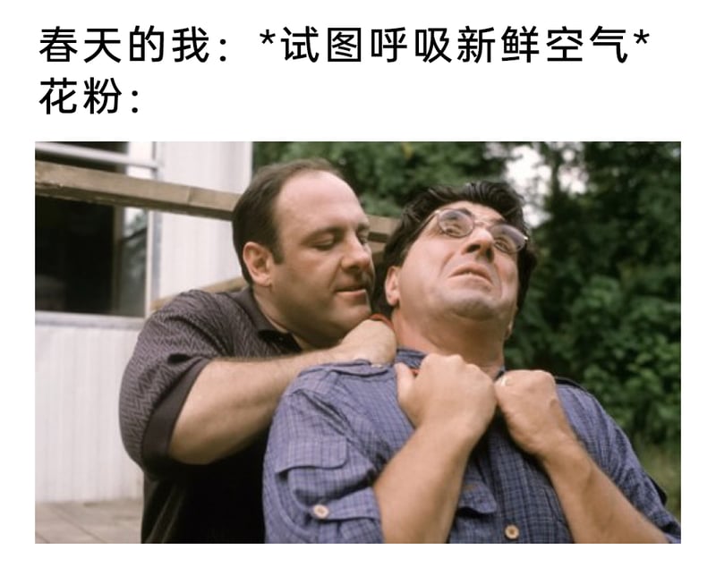托尼·瑟普拉诺