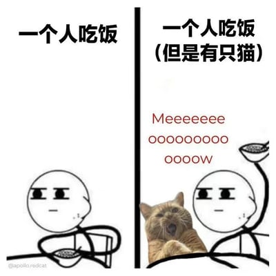 该图为左右对比的图文混排 meme，左侧画面是一个面无表情的简约线条人独自端着碗吃饭，上方文字标注“一个人吃饭”；右侧画面中线条人姿势不变，但身旁多了一只张着嘴打哈欠的橘猫，上方文字变为“一个人吃饭（但是有只猫）”，猫的上方还有红色的“Meeeeee oooooo oooow”文字模拟猫叫。通过左右对比幽默展现了独自吃饭与有猫陪伴吃饭的场景差异，突出宠物陪伴带来的温馨感。