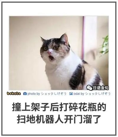 这是一张顶配底文的静态单图，画面主体是一只三色猫咪，它双眼圆睁、嘴巴张开，露出极度震惊的表情，仿佛刚目睹了让它难以置信的事件。图片下方配有醒目的中文文字：“撞上架子后打碎花瓶的扫地机器人开门溜了”，将猫咪的震惊表情与文字描述的离谱事件相结合，以拟人化的方式制造出荒诞幽默的效果，调侃了类似闯祸后逃避责任的行为。图片左下角有“bokaba”以及日文标注“photo by ショックしげそう”“odai by ショックしげそう”，右下角有“日语金句”的水印标识。