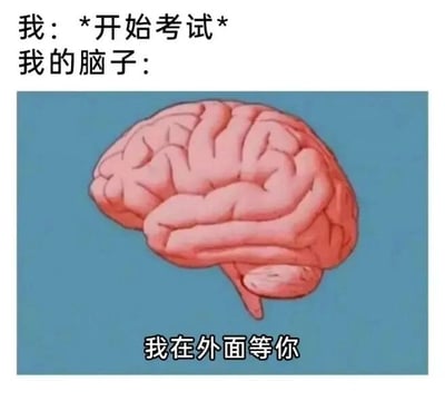 图片上方文字描述场景：“我：*开始考试* 我的脑子：”，下方是一幅大脑的插图，插图底部配有文字“我在外面等你”。通过幽默的方式表现了考试时大脑一片空白、无法集中思考的状态，引发学生群体的共鸣。