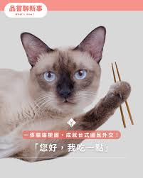 这张图片以一只蓝眼睛的猫咪为主角，猫咪抬起前爪，掌中夹着一双筷子，表情淡定中带点无辜。画面中心有醒目的文字“您好，我吃一点”，展现出网络流行的“评论区连续聚餐”互动梗。该图寓意着网友以表情包方式‘求尝一口’，在美食内容下用幽默、可爱的方式参与互动。

**双关说明**：猫咪举筷子的场面，叠加带有“我吃一点”的文字，形成对现实社交场面的幽默模拟，同时也有点‘猫咪成精吃人饭’的戏谑意味。

**暗示**：该梗包因使用时多为连发，衍生出“评论区连续剧”的网络现象桥段。