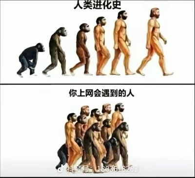 这是一张上下对比的P图改编梗图，上半部分是经典的人类进化示意图，呈现了从古猿逐步进化为现代人类的完整过程，配文“人类进化史”；下半部分则将进化序列完全反向，展示现代人类逐步退化为古猿的过程，配文“你上网会遇到的人”。通过这种夸张的反进化设定，用幽默反差的方式调侃上网时常常会遇到许多言行逻辑混乱、仿佛“返祖”的人，精准戳中网友在网络社交中的无奈体验，制造出搞笑的吐槽效果。