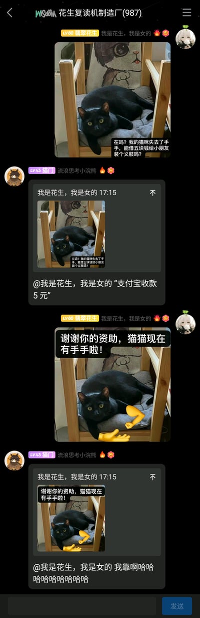 这是一张名为“花生复读机制造厂”的社交群聊截图，群成员“我是花生，我是女的”首先发布了一张趴在小床上的黑猫照片，配文玩梗“在吗？我的猫咪失去了手手，能借五块钱给小朋友装个义肢吗？”；随后群成员“猫门”以“支付宝收款5元”的形式配合玩梗；接着“我是花生，我是女的”发布了一张经过P图修改的黑猫图，给猫咪加上了黄色的手臂表情，配文“谢谢你的资助，猫猫现在有手手啦！”；最后“猫门”复读了对方的消息并发出大笑的内容，整个互动是好友之间用猫咪图片进行的趣味整活，充满搞笑氛围。