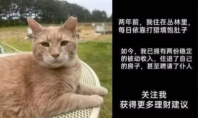 图片左侧为一只橘猫趴在白色桌子上，背景是草地和树木，表情平静淡定；右侧为黑色背景白色文字，内容描述橘猫从两年前“丛林打猎填肚子”到如今“拥有两份稳定被动收入、住自己房子、聘仆人”的反差经历，并以“关注我获得更多理财建议”结尾。通过拟人化手法幽默调侃理财话题，形成强烈的身份转变对比。