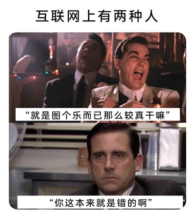 这是一张上下拼接的对比类梗图，旨在调侃互联网中存在的两种典型人群心态。上方截取电影《好家伙》中角色情绪亢奋、开怀大笑的场景，配文“就是图个乐而已那么较真干嘛”，代表网络上以娱乐为核心，对内容细节不纠结、心态佛系的“乐子人”；下方截取美剧《办公室》中角色迈克尔·斯科特严肃凝重的场景，配文“你这本来就是错的啊”，代表网络上对待内容认真，会执着于指出错误、追求准确性的“较真派”。整图通过强烈的神态和文字对比，生动展现了互联网社交中两种截然不同的交流态度。