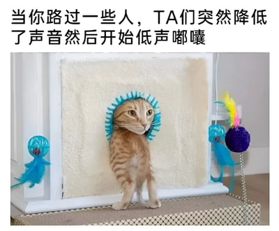 图片上方配有文字‘当你路过一些人，TA们突然降低了声音然后开始低声嘟囔’，下方是一只橘猫从白色软质结构的洞中探出头和前爪，表情好奇且警惕地向外窥视，周围有蓝色水母形状的玩具和带羽毛的紫色绒球玩具。该梗图通过猫咪偷偷观察的动作，幽默地表现了当路过他人时对方突然小声嘀咕，自己怀疑被议论的场景，引发共鸣。