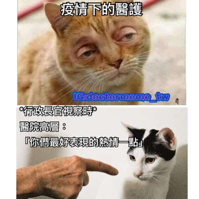 這是一張上下結構的對比梗圖，用貓咪形象諷刺疫情期間醫護人員的真實處境與行政檢查要求之間的矛盾。上圖是一隻眼神疲憊、眼皮沉重的橘貓，配文「疫情下的醫護」，展現醫護人員的勞累狀態；下圖是一隻表情緊張的黑白貓被手指指向，旁邊文字寫著「*行政長官視察時* 醫院高層：『你們最好表現的熱情一點』」，呈現管理人員在檢查時對下屬的表面要求。整體通過貓咪的表情和文字對比，幽默地表達了基層醫護面臨的壓力與形式主義檢查之間的反差。