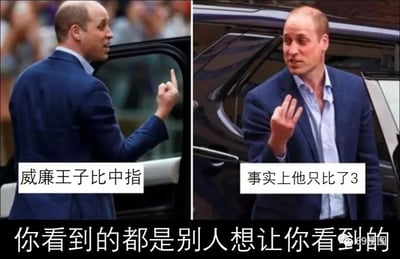 这是一张左右分栏对比的中文梗图，左侧选取了英国威廉王子公开活动中特定角度的照片，从这个视角看威廉王子的手势像是在比中指，搭配配文“威廉王子比中指”；右侧是同一动作的正面视角照片，清晰显示威廉王子实际伸出了三根手指，配文“事实上他只比了3”。图片底部配有总结性文字“你看到的都是别人想让你看到的”，通过拍摄角度造成的视觉偏差，直观地展示了信息可以被刻意筛选和引导，让受众接收片面内容的现象，以此调侃网络信息传播中的片面性和误导性。