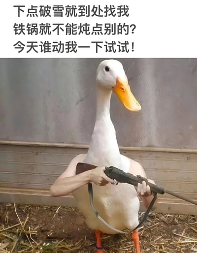 图片上方是三行黑色文字：“下点破雪就到处找我 铁锅就不能炖点别的? 今天谁动我一下试试!”。下方主体是一只站立的白鸭，背景为灰色墙壁和稻草地面。鸭子被P上了人类的手臂，双手紧握一把老式步枪，枪口朝前，呈现出防御姿态，表情严肃，仿佛在对想抓它炖锅的人发出警告。整体通过动物拟人化和夸张的武器元素，幽默吐槽了冬季下雪时人们喜欢吃铁锅炖鸭的现象。