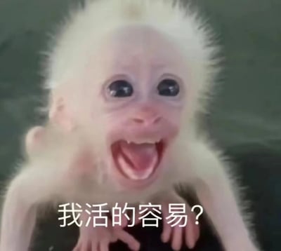 图片中是一只毛发呈白色的小猴子，它有着大大的黑色眼睛，嘴巴张开，表情看起来像是在疑惑或惊讶。图片下方配有文字“我活的容易?”，以猴子的表情配合文字内容，形成一种拟人化的效果，仿佛猴子在发出对生活不易的感慨。