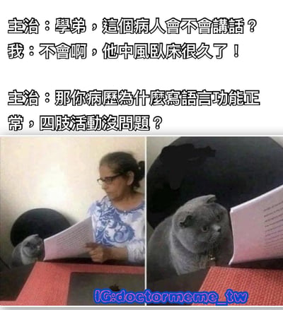 图片上方为三段对话文字，内容是主治医生询问学弟病人是否会说话，学弟回答病人因中风卧床很久不会说话，医生质疑为何病历写语言功能正常且四肢活动没问题。下方左右两张图片拼接，左侧是一位戴眼镜的老年女性正专注阅读文件，身旁有一只灰猫；右侧是灰猫特写，正用爪子“手持”文件，幽默暗示病历可能是猫写的，形成医疗场景中的搞笑乌龙。