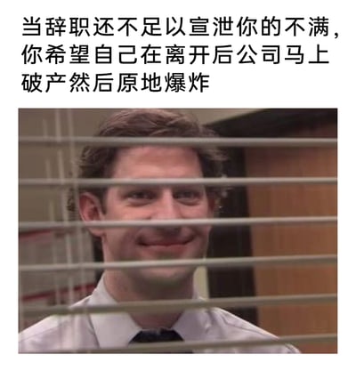 这是一张精准戳中职场人痛点的吐槽类表情包，上方配有直白宣泄不满的文字：“当辞职还不足以宣泄你的不满，你希望自己在离开后公司马上破产然后原地爆炸”，下方是美国情景喜剧《办公室》（美国版）中的角色吉姆·哈尔pert的截图，他透过办公室的百叶窗露出腹黑又带着怨念的微笑，将职场人在对公司积攒了大量负面情绪后，连辞职都无法消解不满，只能在心中暗暗诅咒公司的真实心态生动地展现出来，夸张的想法和角色的腹黑表情形成强烈共鸣，很容易引发职场人的共情。