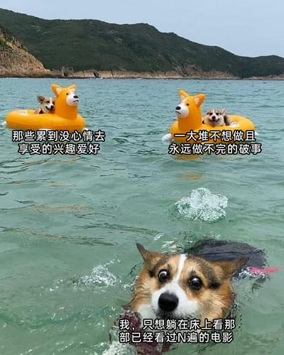 这是一张反映当代人疲惫心理的静态梗图，画面呈现了三只柯基在海水中的状态：两只柯基分别待在柯基造型的黄色游泳圈上，一只柯基在水里扑腾。图片为三只柯基分别配上文字：左侧游泳圈上的柯基对应文字“那些累到没心情去享受的兴趣爱好”，右侧游泳圈上的柯基对应文字“一大堆不想做且永远做不完的破事”，水里的柯基对应文字“我，只想躺在床上看那部已经看过N遍的电影”。通过三只柯基的不同状态，分别对应被搁置的爱好、缠身的琐事，以及人们内心渴望的躺平放松，精准戳中当代人被生活和工作消耗，疲惫到提不起劲享受爱好，只想简单放松的心态。