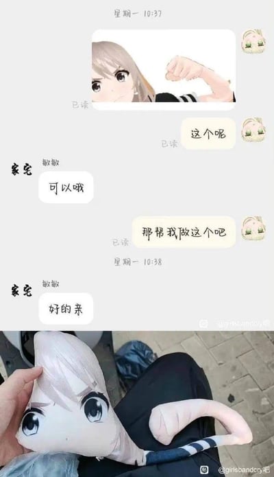 这是一张上下拼接的趣味图片，上半部分是用户与定制商家的聊天记录截图：用户向名为“家宅 敏敏”的商家发送了一张《GIRLS BAND CRY》中的动漫角色图，图里是金发蓝眼的动漫女生，手臂弯曲抬起做出展示肌肉的动作，用户询问商家能否制作该形象的周边，商家回复可以后，用户确认定制需求；下半部分是商家制作完成的实物实拍图，成品抱枕完全偏离了原图的角色形象，将角色的头部和手臂整合为一个怪异的锥形抱枕，手臂部分变成了弯曲的长条造型，和原图的可爱角色形象形成巨大反差，制造出荒诞搞笑的效果，属于典型的定制商品翻车案例，图中没有双关、谐音梗或暗示内容。