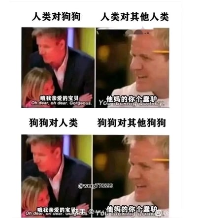这是一张四格对比类搞笑梗图，采用知名毒舌厨师戈登·拉姆齐的综艺截图改编而成。图片分为上下两组对比内容：上组呈现人类对狗狗和对其他人类的态度反差，左图中人物对着代表狗狗的小孩，表情温和宠溺，配文“哦我亲爱的宝贝”；右图中人物表情愤怒暴躁，配文“他妈的你个蠢驴”。下组则是狗狗对人类和对其他狗狗的态度对比，使用了和上组完全相同的画面与配文，以此调侃狗狗面对人类和同类时的态度，和人类对待狗狗与同类的态度如出一辙，通过强烈的表情反差和直白的台词制造出荒诞又真实的幽默效果，戳中人们对宠物和同类态度差异的共鸣点。