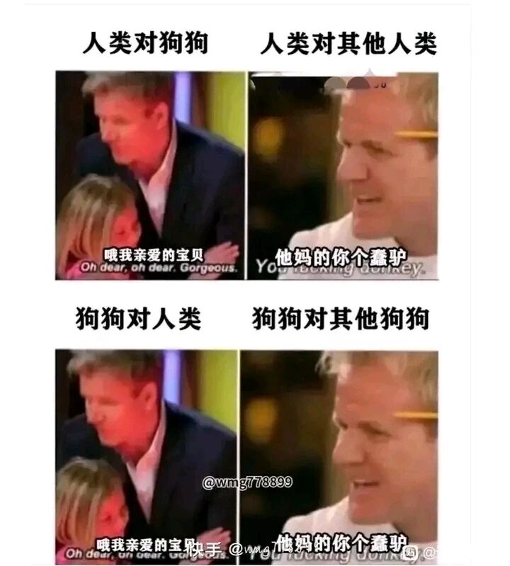 《地狱厨房》等美食综艺
