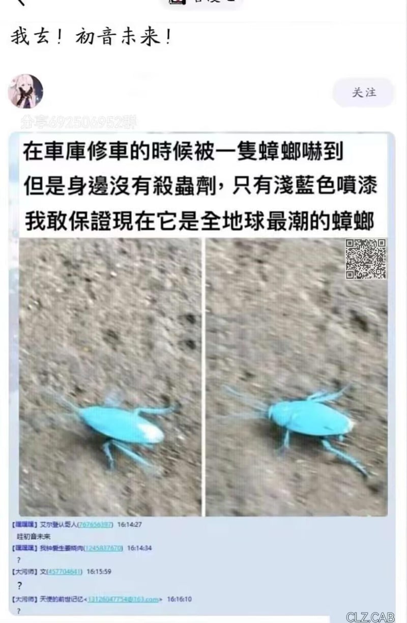 蟑螂