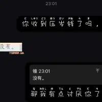 这是一段竖屏的手机聊天记录截图，对话围绕春节压岁钱展开：一方先询问「你收到压岁钱了吗」，对方回复「没有」，随后询问者调侃道「那我有点讨厌你了」。这段对话利用反差感制造笑点，潜台词是没收到压岁钱的人无需给他人发压岁钱，让需要支出压岁钱的人产生“嫉妒式讨厌”的趣味情绪，十分贴合春节期间的相关话题。