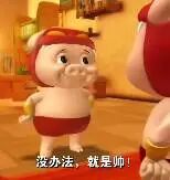 猪猪侠