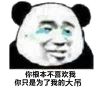 这是一张典型的中国网络表情包，采用了流行的熊猫头形象，将人类面部特征合成到熊猫头部。图片中的熊猫头有着戏谑的表情，眼睛带有蓝色调，整体呈现出一种滑稽搞笑的效果。图片下方配有文字："你根本不喜欢我 你只是为了我的大吊"，这是一句带有性暗示的幽默台词，通常用于朋友间的玩笑或调侃。