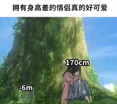 这是一张基于动画场景二次创作的荒诞梗图，顶部配文“拥有身高差的情侣真的好可爱”，画面右侧是标注为170cm的女性角色三笠抱膝坐在大树下，左侧是标注为-6m的墓碑，指代埋在地下6米的艾伦。<br>这是典型的地狱笑话，用情侣一方在世、一方离世的极端“身高差”来玩情侣身高差的流行梗，通过将原作悲伤场景与玩梗配文结合，制造出强烈的反差感，形成荒诞搞笑的效果。