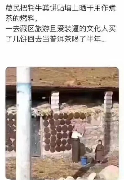 图片上方为文字描述，内容是：藏民把牦牛粪饼贴墙上晒干用作煮茶的燃料，一去藏区旅游且爱装逼的文化人买了几饼回去当普洱茶喝了半年... 下方图片展示了藏区传统场景，一面土墙上整齐排列着圆形的牦牛粪饼，一位成年人正在往墙上贴粪饼，旁边站着一个小孩。整个内容通过文化差异造成的误解形成搞笑效果。