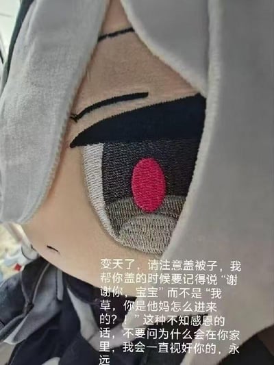 图片为卡通 plush 玩具的特写镜头，角色戴着灰色兜帽，露出一只巨大的眼睛，瞳孔呈红色，眼神冷漠中带着一丝腹黑。右侧配有调侃式文字：“变天了，请注意盖被子，我帮你盖的时候要记得说‘谢谢你，宝宝’而不是‘我草，你他妈怎么进来的？！’这种不知感恩的话，不要问为什么会在你家里，我会一直视奸你，永远”。文字内容以反差萌的方式将温馨提醒与略带惊悚的“跟踪”设定结合，形成幽默效果。
