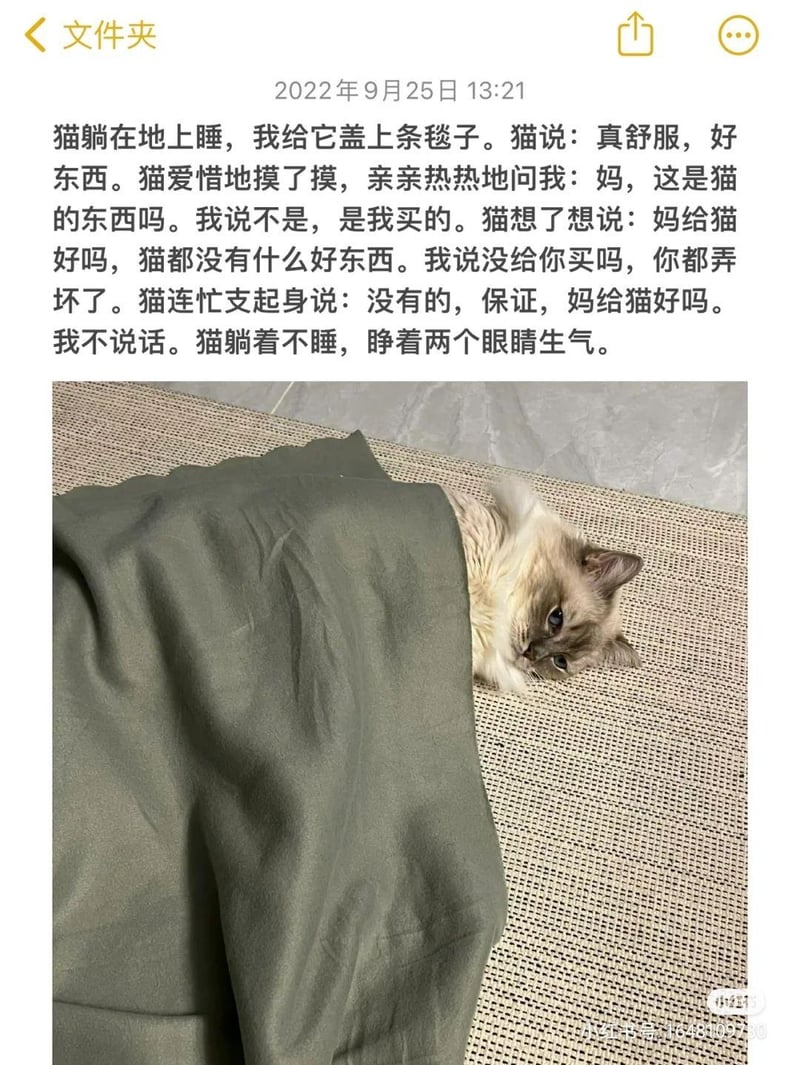 小猫文学