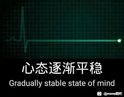 这是一张顶配底文的静态网络梗图，画面上方模拟医疗设备的心电图界面，原本代表生命体征波动的心电图在出现一次起伏后变成了一条完全平直的线，这个画面在医疗场景中通常代表生命体征消失；画面下方配有白色的中文文字“心态逐渐平稳”，还有对应的英文翻译“Gradually stable state of mind”。这张图运用了黑色幽默的反讽手法，用象征生命终止的心电图归零画面，来调侃当代人在面对生活、工作中的压力或糟心事时，逐渐失去情绪波动，进入一种麻木、“躺平”式的“心态平稳”状态，精准地表达了一种无奈又自嘲的情绪。
