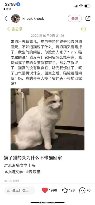 这是一张以微信形式呈现的微博内容截图，属于当下流行的小猫文学创作。内容讲述了主人带家猫外出时，家猫与流浪猫对话后，流浪猫因家猫一句“妈摸了猫的头猫就有家了”而哭着跑开，戳中了流浪猫没有家的心事；回家后，家猫又向主人发出“真的会有人摸了猫的头不带猫回家吗”的疑问，搭配一张神情低落、皱着眉的白色家猫图片，用细腻的视角传递出对流浪猫处境的心疼，以及对“被承诺却被抛弃”的伤感情绪，文字温情又催泪，引发读者的共情。