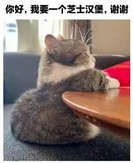 一只灰白相间的猫咪蜷缩在木质桌面上，双眼紧闭，姿态放松惬意。图片上方配有文字“你好，我要一个芝士汉堡，谢谢”，通过将猫咪拟人化，赋予其像人类一样点餐的行为，形成萌宠与美食结合的趣味反差，营造出轻松搞笑的氛围。