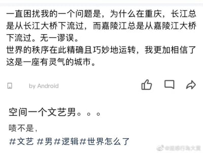 图片内容为社交媒体截图，展示了一段充满迷惑逻辑的用户发言及后续吐槽。发言者困惑于“重庆长江总从长江大桥下流过、嘉陵江总从嘉陵江大桥下流过”，认为这是“世界秩序精确运转”的体现；下方评论则调侃该发言者为“空间一个文艺男”，并配上#文艺 #男 #逻辑 #世界怎么了 等标签，讽刺其将“桥因江得名”的基本逻辑颠倒的认知误区。