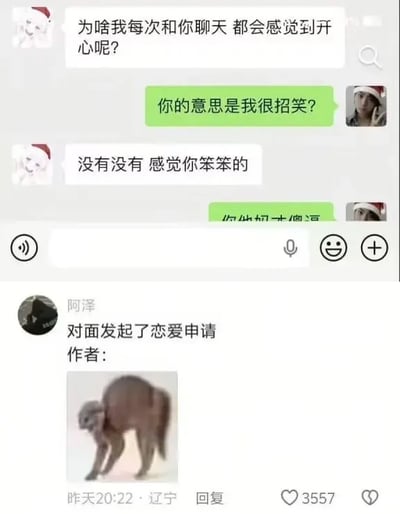 图片展示了一段幽默的聊天记录和后续评论。聊天中，一方问“为啥我每次和你聊天都会感觉到开心呢？”，对方回复“你的意思是我很招笑？”，前者解释“没有没有 感觉你笨笨的”。下方有用户“阿泽”的评论，内容为“对面发起了恋爱申请”并附带一张形似骆驼的动物图片，整体风格轻松诙谐，充满朋友或情侣间的调侃趣味。
