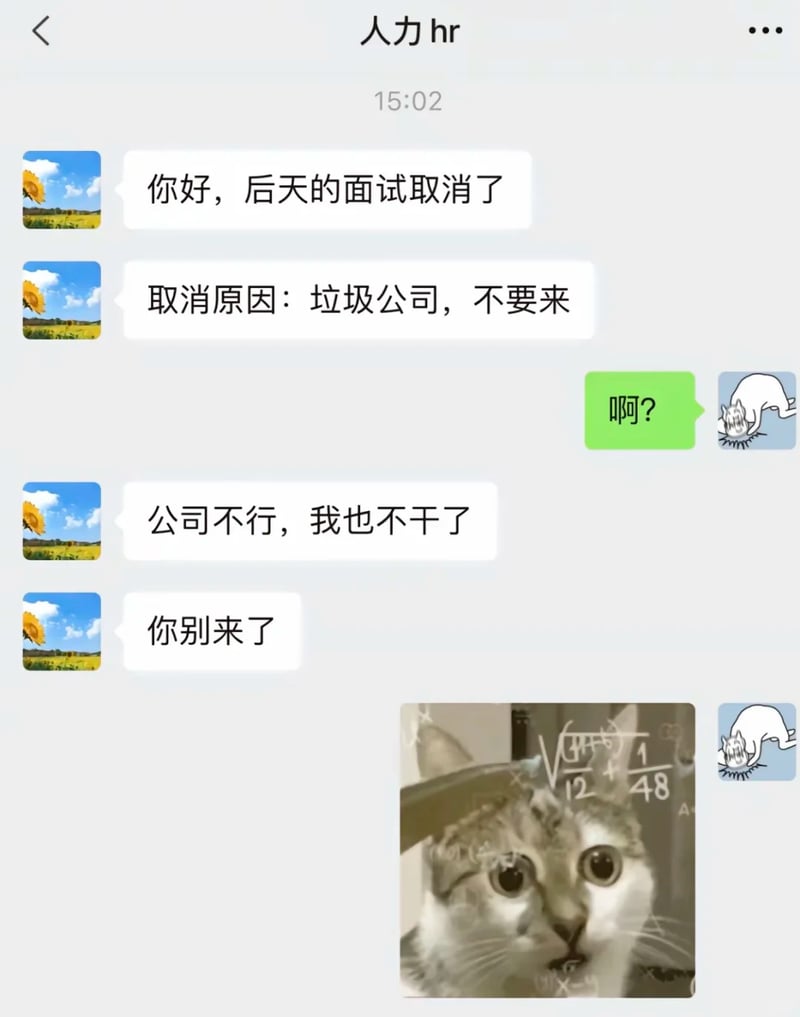 公司人力资源专员